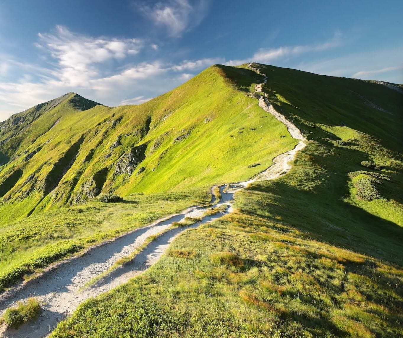 Trail to the peak in Carpathian Mountains in the morning